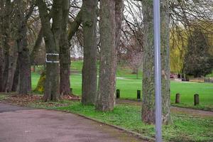 niedrig Winkel Aussicht von Baum und Geäst beim lokal Park foto