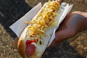 Hand halten ein Sonne heiß Hund mit Ketchup und Kartoffel Chips auf das Strand foto