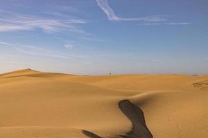 Sommer- Wüste Landschaft auf ein warm sonnig Tag von Maspalome Dünen auf das Spanisch Insel von gran Canaria foto