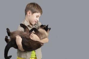 Porträt von ein Kind mit ein Katze. ein Junge mit ein Siamese Katze. foto