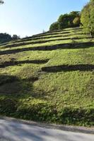 verlassen Weinberg Terrassen foto