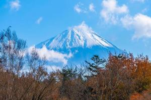 schöne landschaft bei mt. Fuji, Japan foto