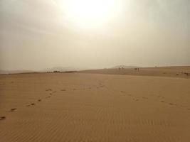 Landschaft von das Spanisch Kanarienvogel Insel fuerteventura mit Dünen und das Ozean foto