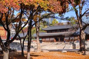 Seoul, Süd Korea - - nov 15, 2017-changgyeong Palast ist ein Palast gelegen im Seoul, Süd Korea. einer von das die meisten wichtig Platz im Süd Korea. foto