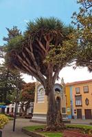 Straßen mit historisch Gebäude auf das Spanisch Kanarienvogel Insel Tenerife im das ehemalige Hauptstadt foto