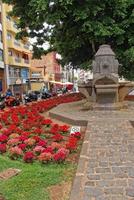 interessant bunt Urlaub Häuser im das Straßen von das Spanisch Stadt von sanca Cruz im Tenerife foto