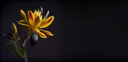 Gelb Geißblatt Blume im dunkel Hintergrund ai generiert foto
