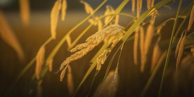 schließen oben von ein Reis Paddy ein Ernte von Fülle ai generiert foto