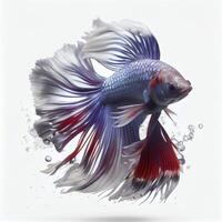 ein Ultra realistisch Siamese Kampf Fisch Das springt durch planschen auf ein Weiß Hintergrund ai generiert foto