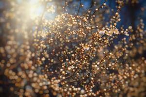 Frühling Baum Blühen im Rosa im Nahansicht draußen im das warm Sonnenschein foto