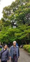 Tokio, Japan im April 2019. Touristen genießen das Tokyo National Park. Shinjuku Gyoen National Garten foto