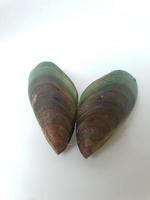 Grün Muschel auf ein Teller auf ein Weiß Hintergrund, frisch Neu Neuseeland Muschel oder perna Canaliculus auf ein Weiß Hintergrund. isoliert Grün Miesmuscheln. foto