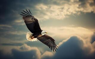 kahl Adler hochfliegend im das Himmel mit Flügel Verbreitung breit. das Hintergrund ist Wolke. generativ ai foto