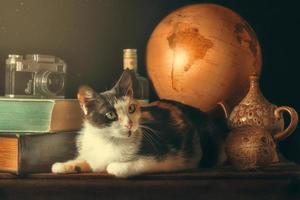 Katze mit Vintage Reiseartikeln