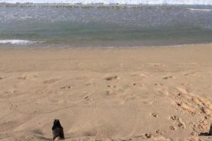 Sand Wellen auf das Strand foto