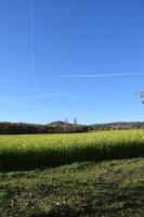 Gelb Blühen Felder im Herbst foto