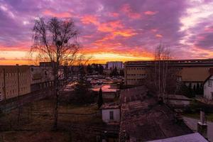 natürlich Herbst Hintergrund mit Sonnenuntergang und rot Wolken und blattlos Birke foto