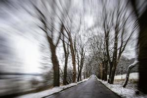 alt Asphalt Straße unter Bäume auf ein schneebedeckt kalt Winter Tag im Polen foto