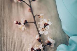 Aprikosenblüten auf Holz foto