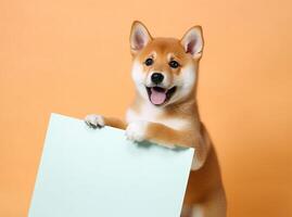 ein süß glücklich Shiba inu Hündchen mit leer Whiteboard auf isoliert Pastell- Farbe Hintergrund, spielerisch und bezaubernd Haustier, generativ ai foto