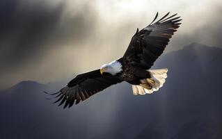 kahl Adler hochfliegend im das Himmel mit Flügel Verbreitung breit. das Hintergrund ist Berg. generativ ai foto