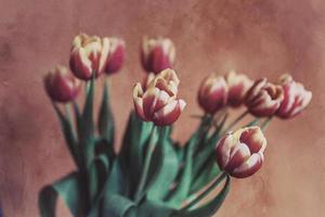 zart Frühling Gelb Rot Tulpe im Nahansicht auf Hintergrund foto