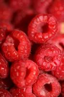 Hintergrund von reif rot Himbeeren Früchte natürlich gesund Vitamine Leistung groß Größe hoch Qualität botanisch drucken Rubus phoenicolasius Familie Rosaceae foto