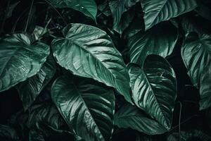 tropisch Blätter Texturabstrakt Natur Blatt GR ai generativ Hintergrund foto