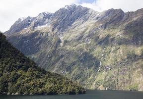 Fjordland National Park Wald und Berge foto