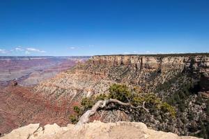 Rohr Bach Aussicht beim großartig Schlucht National Park foto