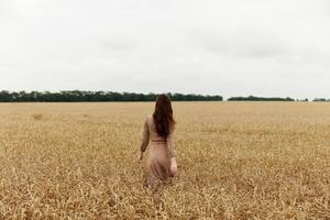 ziemlich Frau Weizen Feld Herbst Jahreszeit Konzept foto