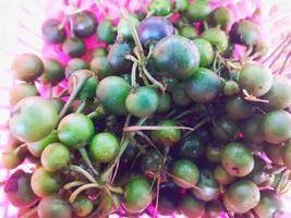leunca oder Solanum Nigrum foto