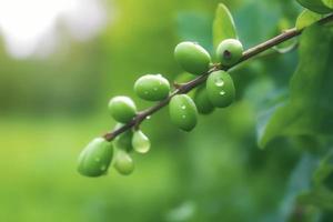 schließen oben Erbsen auf Natur Hintergrund mit Kopieren Raum. gesund vegan Vegetarier Essen Konzept. foto