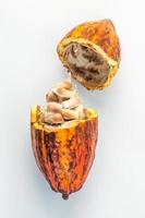 frische Kakaofrucht und Bohnen lokalisiert auf weißem Hintergrund