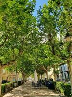 Gasse mit Grün Bäume auf ein Sommer- Tag und ein Cafe im ein Spanisch Stadt, Dorf foto