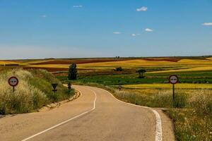 Landschaft Asphalt Straße durch Felder und Wiesen im warm Sommer. Tag Aragon Spanien foto