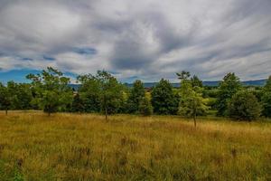 Sommer- Landschaft mit Grün Bäume, Wiese, Felder und Himmel mit Weiß Wolken foto