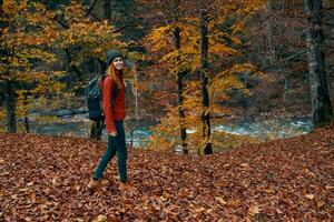 ein Reisender mit ein Rucksack Spaziergänge im das Park im Natur in der Nähe von das Fluss im Herbst foto