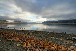 Herbst Blätter auf das Ufer von ein Ruhe See im das Berge foto