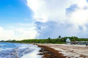 playa del carmen Quintana roo Mexiko 2022 tropisch Karibik Strand Wasser Seetang sargazo playa del carmen Mexiko. foto