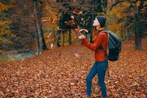 Frau im ein Sweatshirt Hut Jeans 3 Gesetz auf das zurück und Natur im das Hintergrund Bäume Wald Modell- foto