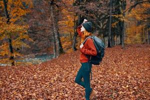 glücklich Reise Frau mit Rucksack Spaziergänge durch das Herbst Park im Natur in der Nähe von das Fluss Landschaft hoch Bäume Sweatshirt foto
