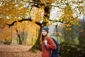 Reisender mit ein Rucksack ruhen im das Herbst Wald im Natur in der Nähe von das Bäume foto