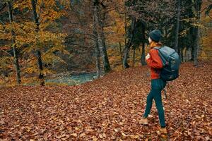 Frau Wanderer Gehen im das Herbst Wald Reise frisch Luft foto