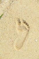 Fußabdrücke im Sand beim das Strand texturiert nass Sand Strand Hintergrund foto