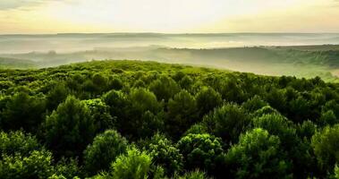 tolle Natur Hintergrund foto