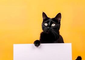 ein süß schwarz Katze halten leer Whiteboard auf isoliert Gelb Farbe Hintergrund, spielerisch und bezaubernd Haustier, generativ ai foto