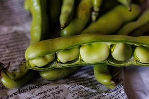 groß Grün Bohnen gesammelt im das Garten auf das Täglich Zeitung foto