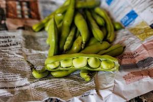 groß Grün Bohnen gesammelt im das Garten auf das Täglich Zeitung foto