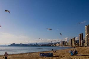 Landschaft von Benidorm Spanien im ein sonnig Tag auf das Strand mit Möwen foto